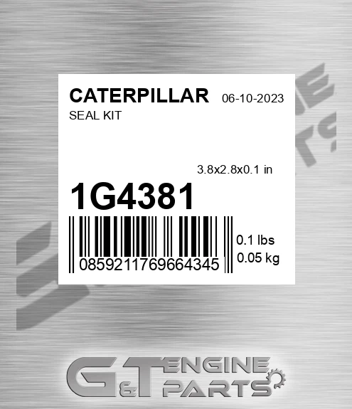1G4381 Seal Kit