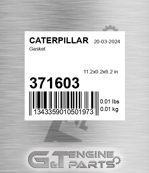 371603 Gasket