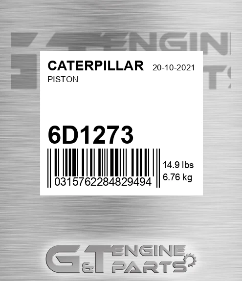 6D1273 Piston