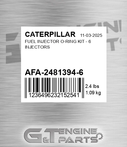 AFA-2481394-6 Fuel Injector O-ring Kit - 6 Injectors
