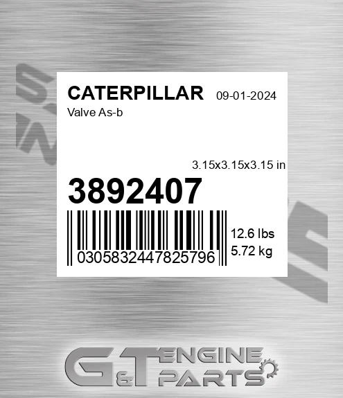 3892407 Valve A for CATERPILLAR