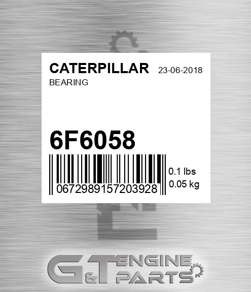 6F6058 Bearing