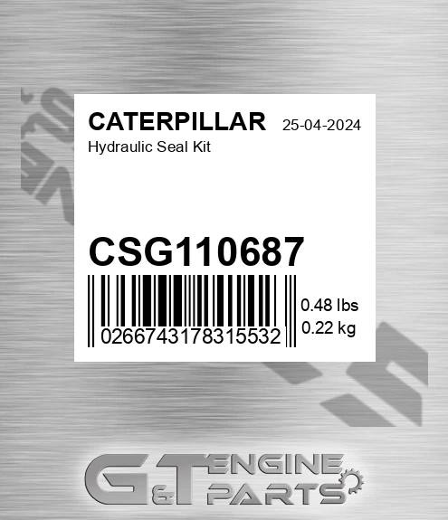 CSG110687 Hydraulic Seal Kit