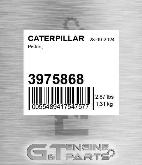 3975868 Piston,
