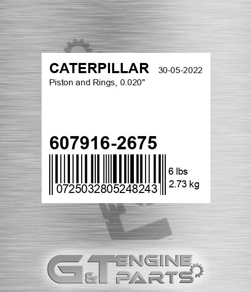 607916-2675 Piston And Rings, 0.020"