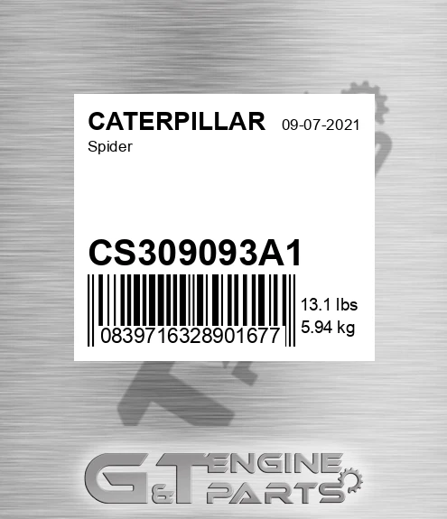 CS309093A1 Spider