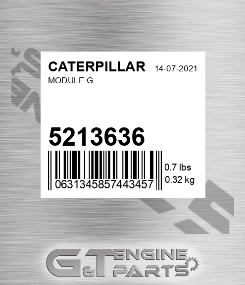 5213636 Module G