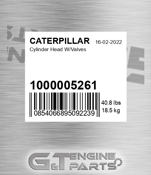 1000005261 Cylinder Head W/valves