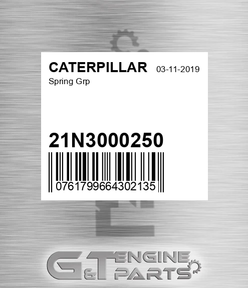 21N3000250 Spring Grp
