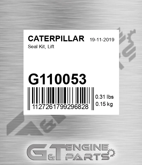 G110053 Seal Kit, Lift