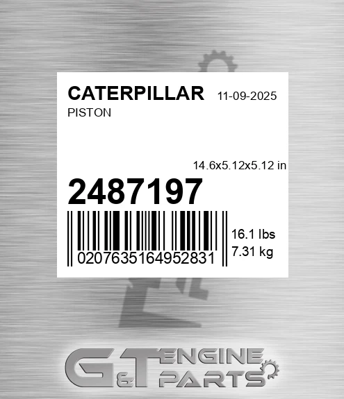 248-7197 Piston
