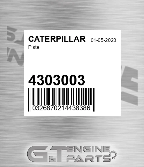 4303003 Plate