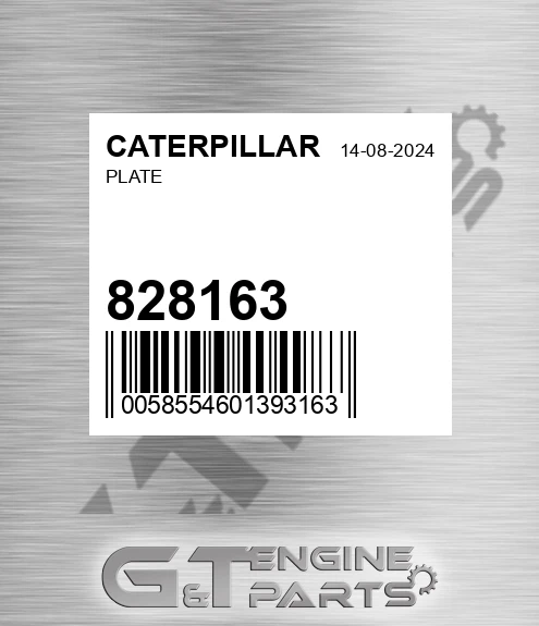 828163 Plate