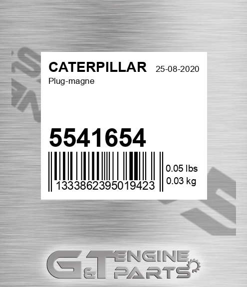 5541654 Plug-magne