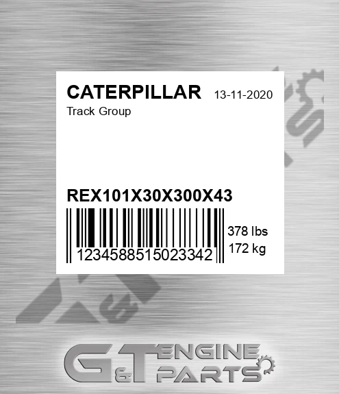 REX101X30X300X43 Track Group for CATERPILLAR
