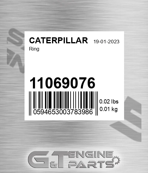 11069076 Ring