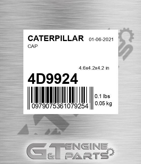 4D9924 Cap