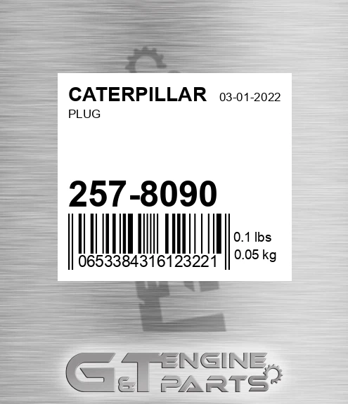 257-8090 Plug