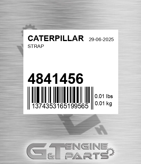 4841456 Strap