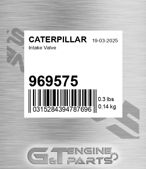 969575 Intake Valve