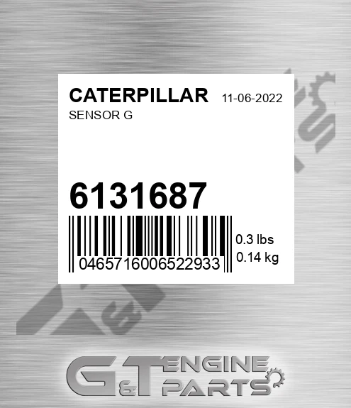 6131687 Sensor G