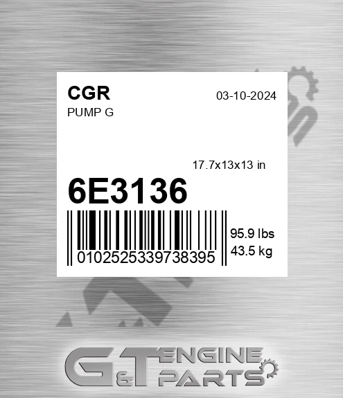 6E3136 Pump G