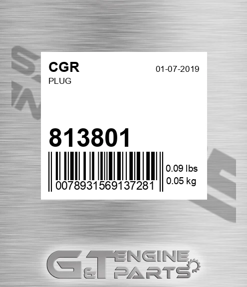813801 Plug