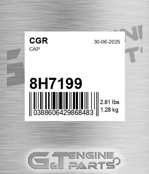 8H7199 Cap