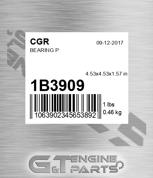 1B3909 CGR Bearing P