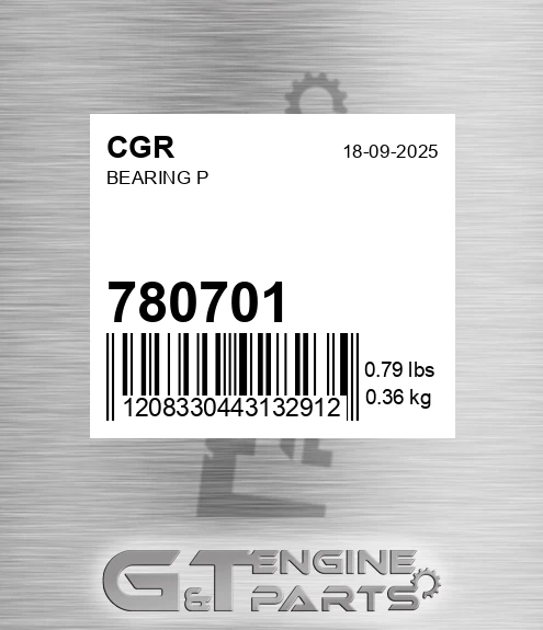 780701 Bearing P