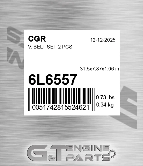 6L6557 V. Belt Set 2 Pcs