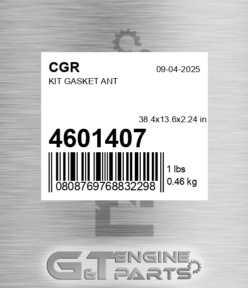 4601407 Kit Gasket Ant