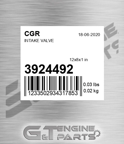 3924492 Intake Valve
