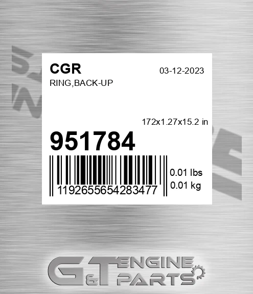 951784 Ring,back-up