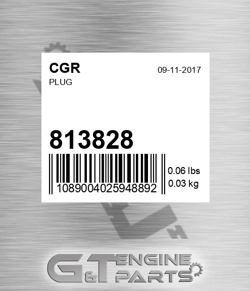 813828 Plug