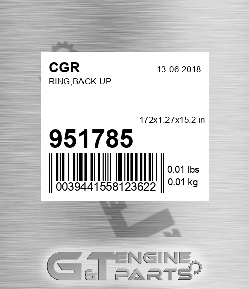 951785 Ring,back-up