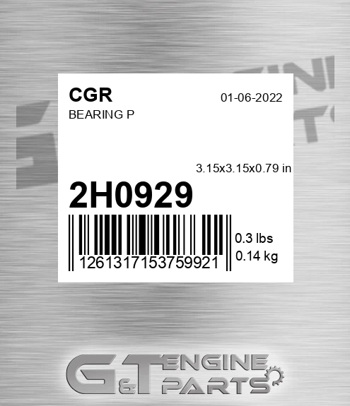 2H0929 Bearing P