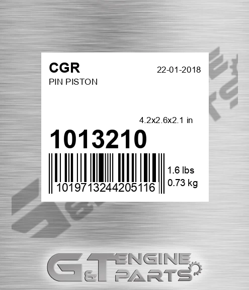1013210 Pin Piston