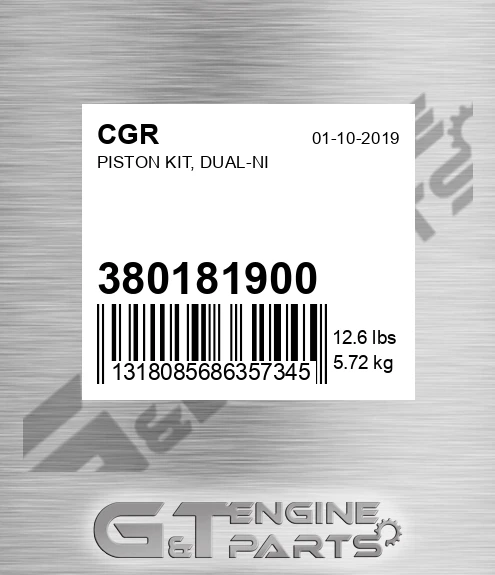 380181900 Piston Kit, Dual-ni