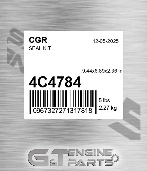 4C4784 Seal Kit