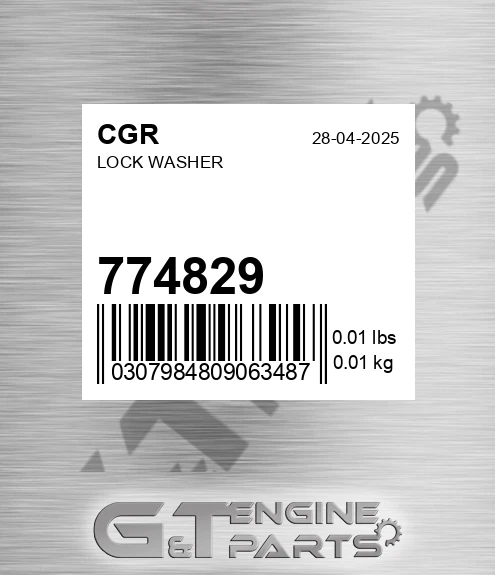774829 Lock Washer