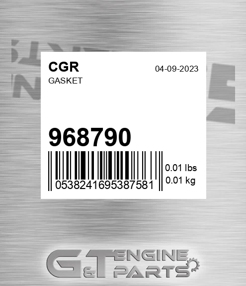 968790 Gasket