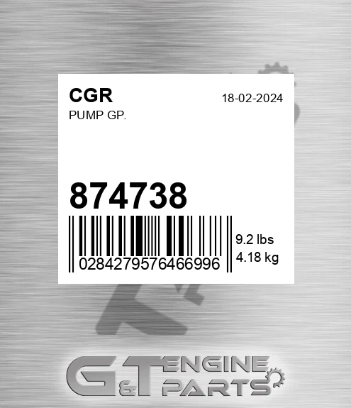874738 CGR Pump Gp.