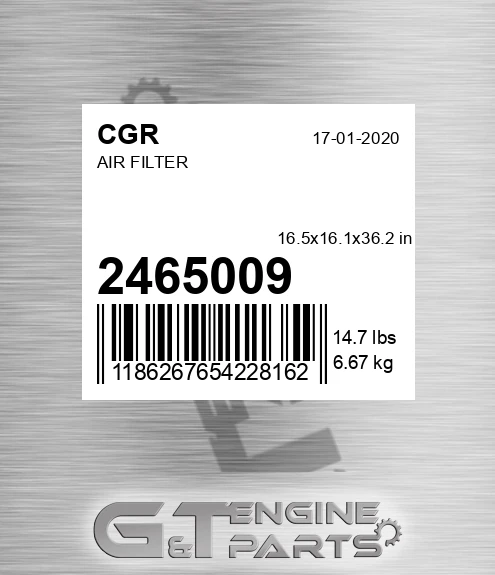 2465009 Air Filter