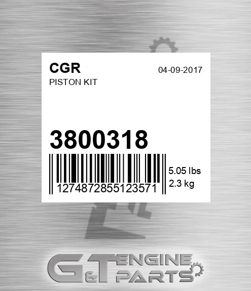 3800318 Piston Kit