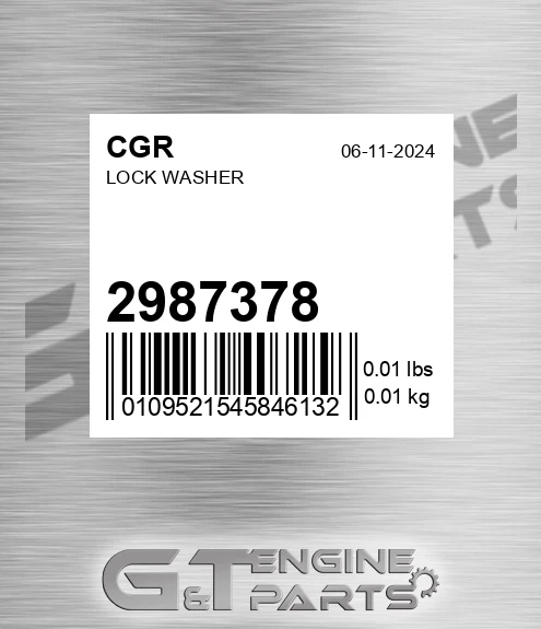 2987378 Lock Washer