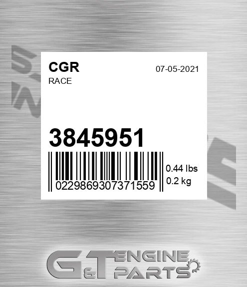 3845951 Race