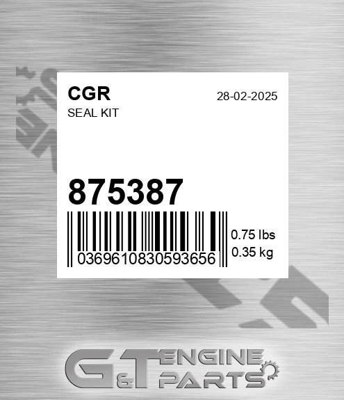 875387 Seal Kit
