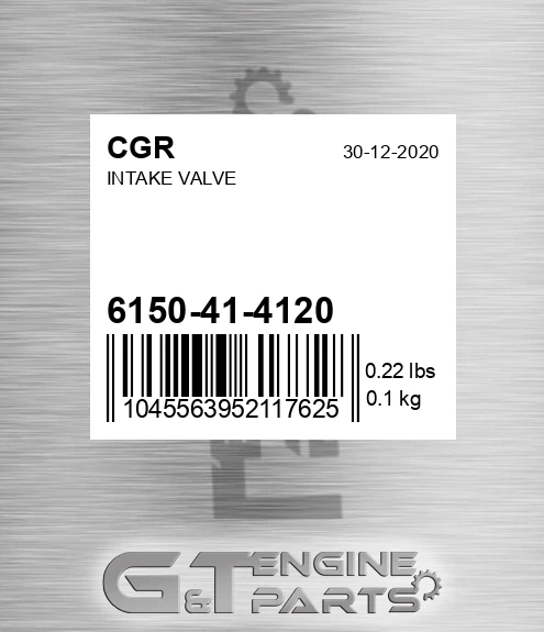 6150-41-4120 Intake Valve for CGR