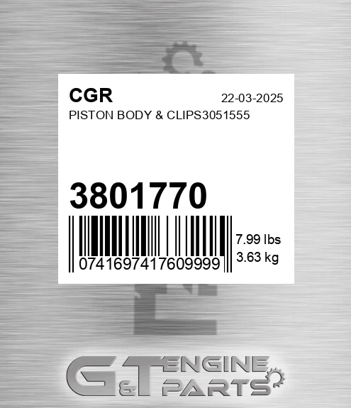 3801770 Piston Body & Clips3051555